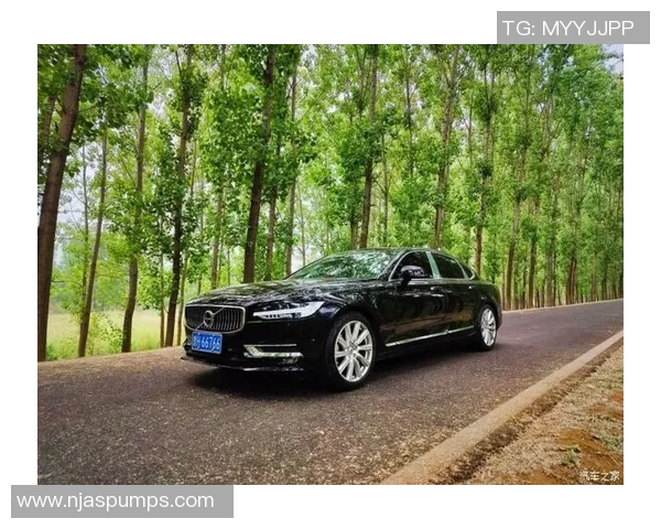 沃尔沃携手足球球星共创绿色出行与激情运动的跨界新风潮